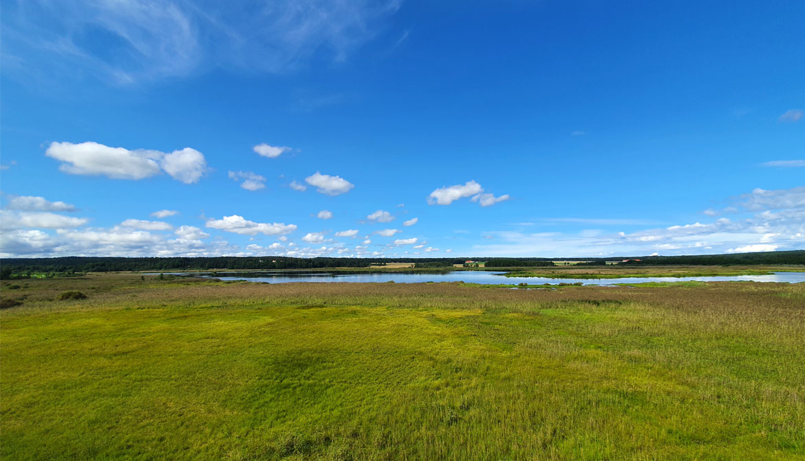 En vy över våtmarken och sjön Norra Hyn