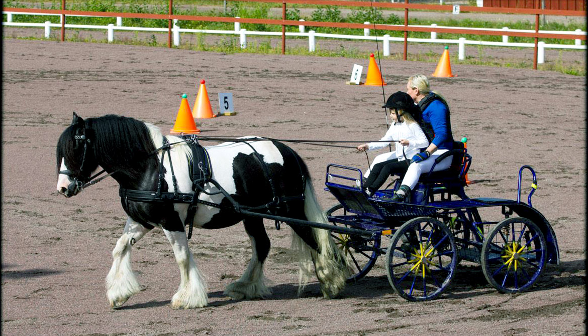 En kvinna och en flicka åker vagn bakom en häst.
