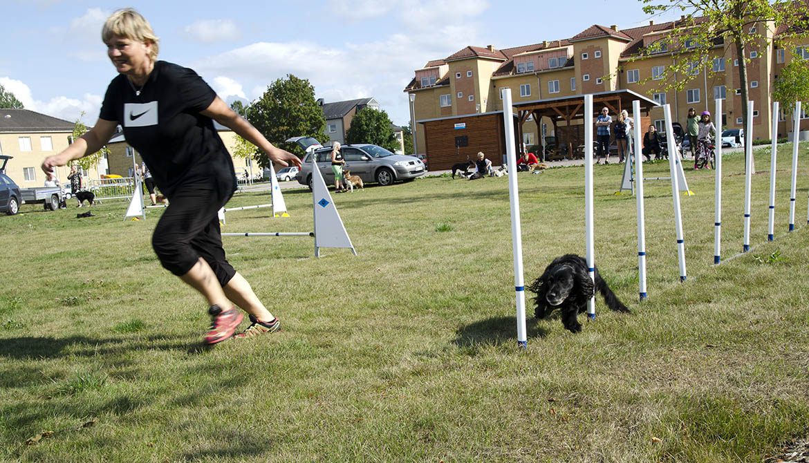 Kvinna och hund gör agility