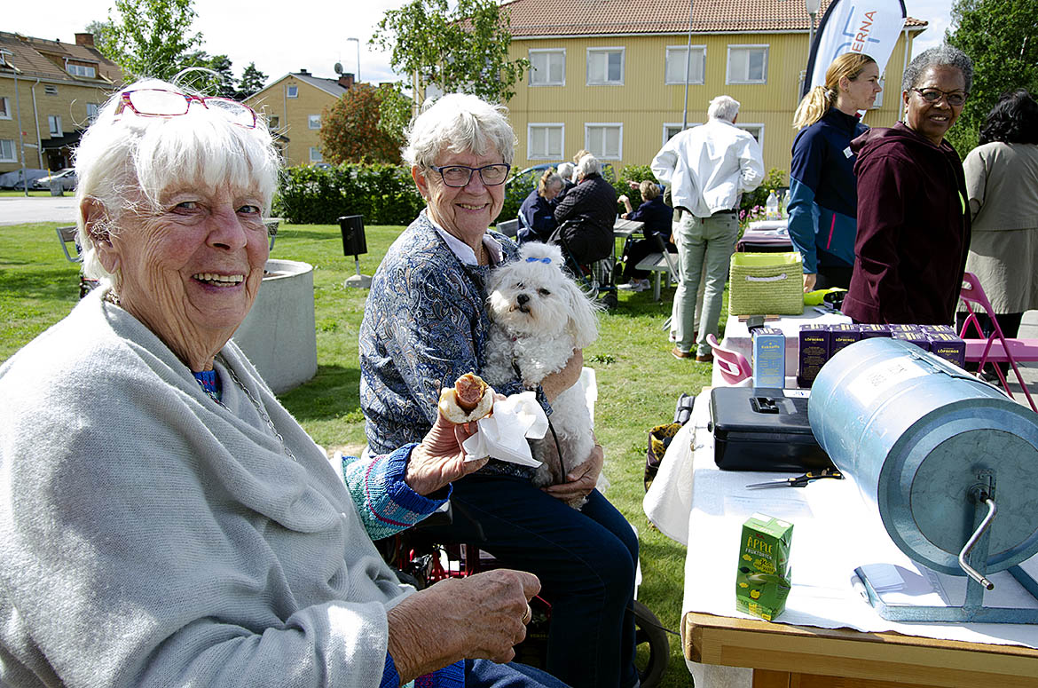 Två äldre kvinnor oich en hund sitter ute i solen